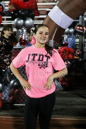 JTH_hc_court_5