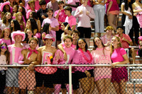 SVL_fans_17