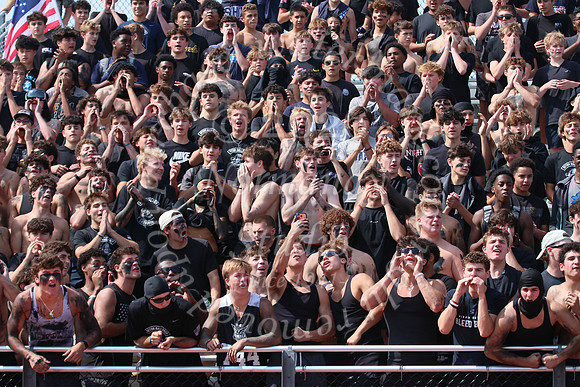 SHP_fans_34