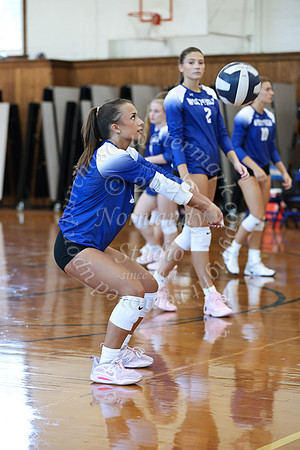 WHS_vb_g_-19