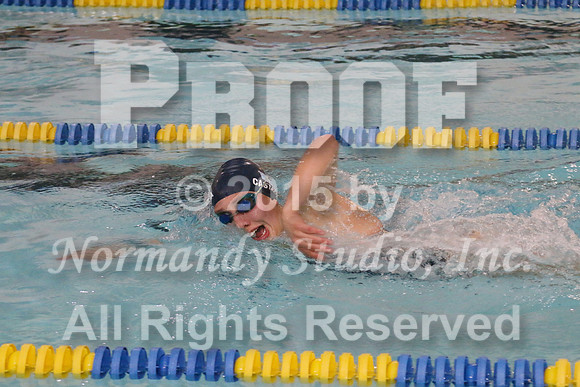 WMC_031_sw-g