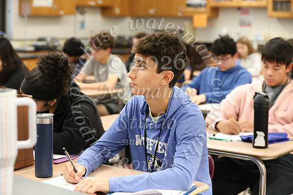WHS_moleday-SLC-19