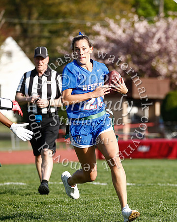 WHS_flag_fb_62
