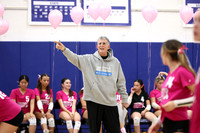 WHS_vb-pink out_09