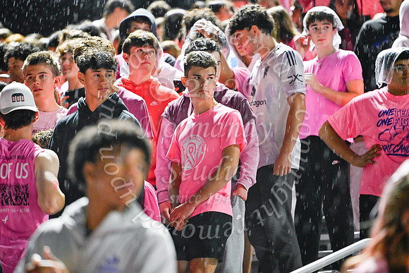 SPF_fans_25