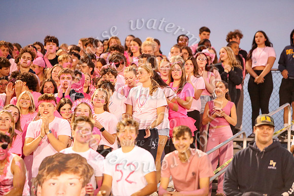 DVH_fans_23