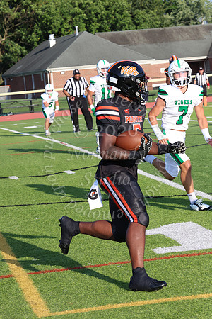 SVL_fb_033