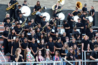 SVL_mb_in_stands_15