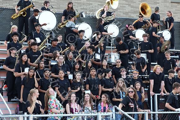 SVL_mb_in_stands_15