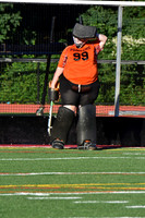 SVL_fh-j_03