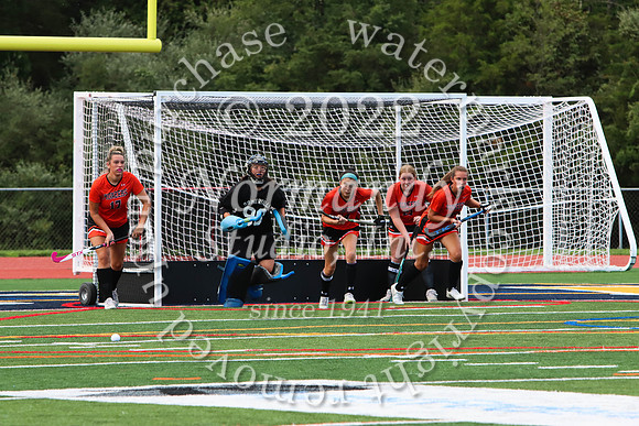 SVL_fh_43