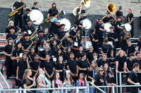 SVL_mb_in_stands_16
