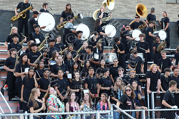 SVL_mb_in_stands_16