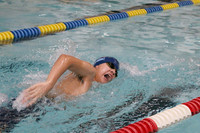 WMC_14_sw-b