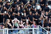 SVL_mb_in_stands_13