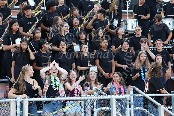 SVL_mb_in_stands_13