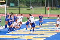 WHS_so-g_02