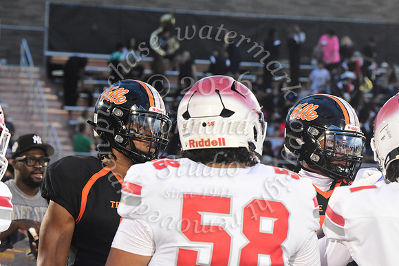 SVL_fb_17