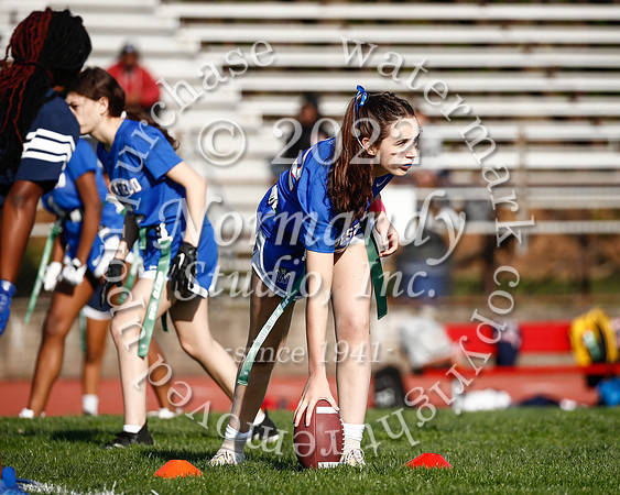 WHS_flag_fb_32