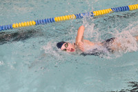 WMC_009_sw-g