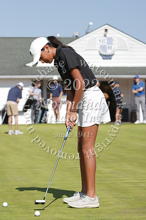 WHS_go-g_33