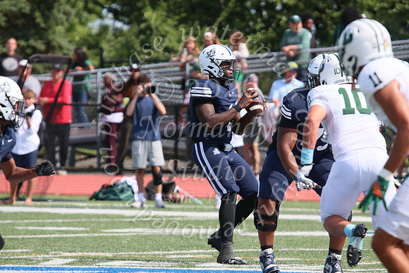 SHP_fb-v_23