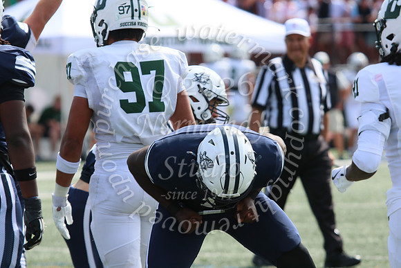 SHP_fb-v_44
