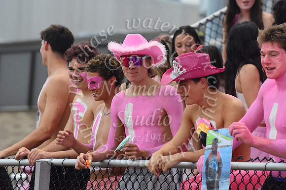 SVL_fans_09