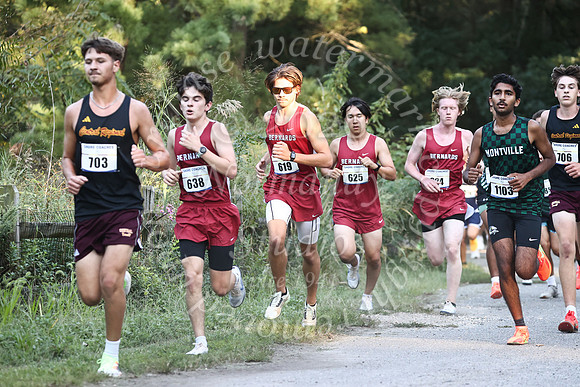 BER_cc_b_21
