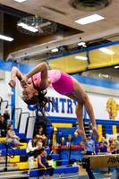 CHS_gy_20