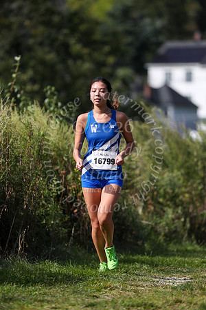WHS_cc-g_15