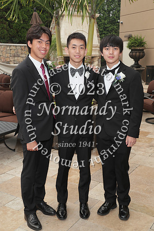 TIM_1038