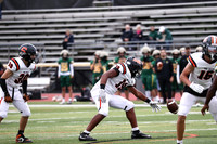 SVL_fb_jv-3