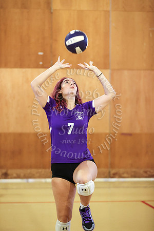 TOT_vb_g_-31