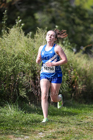 WHS_cc-g_07