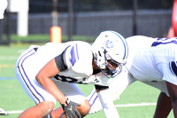 SHP_fb-j_17