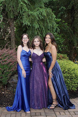 SPF_sr.prom_portraits_036