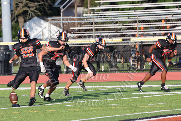 SVL_fb_055
