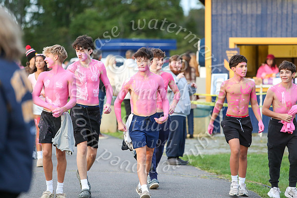 DVH_fans_52