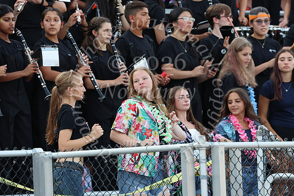 SVL_mb_in_stands_35