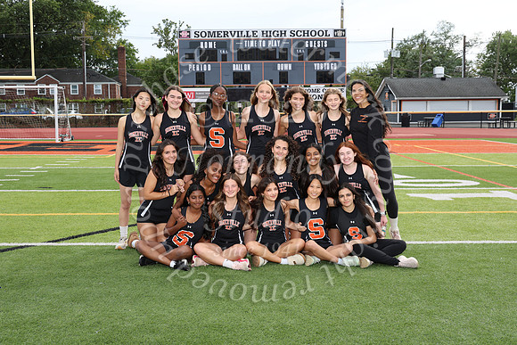 SVL_cc-g-t_05