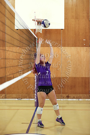 TOT_vb_g_-29