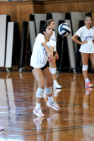 WHS_vb_g_-2