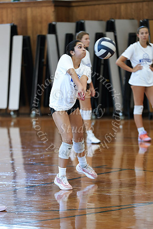 WHS_vb_g_-2