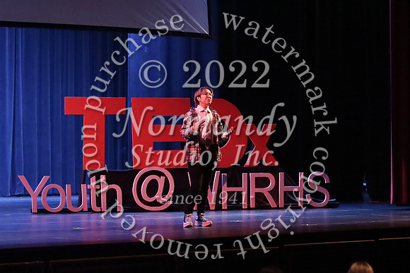 WTG_TEDx_24