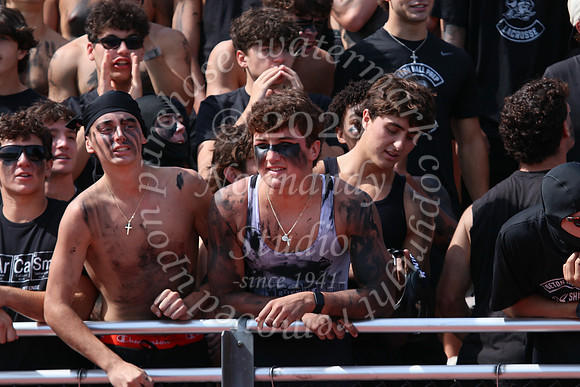 SHP_fans_32