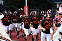 SVL_fb_05