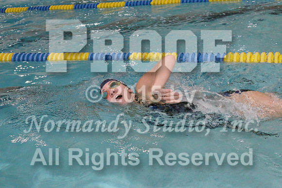 WMC_053_sw-g