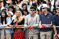 RDG_fb_fans_20