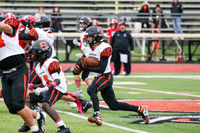 SVL_fb-f_08